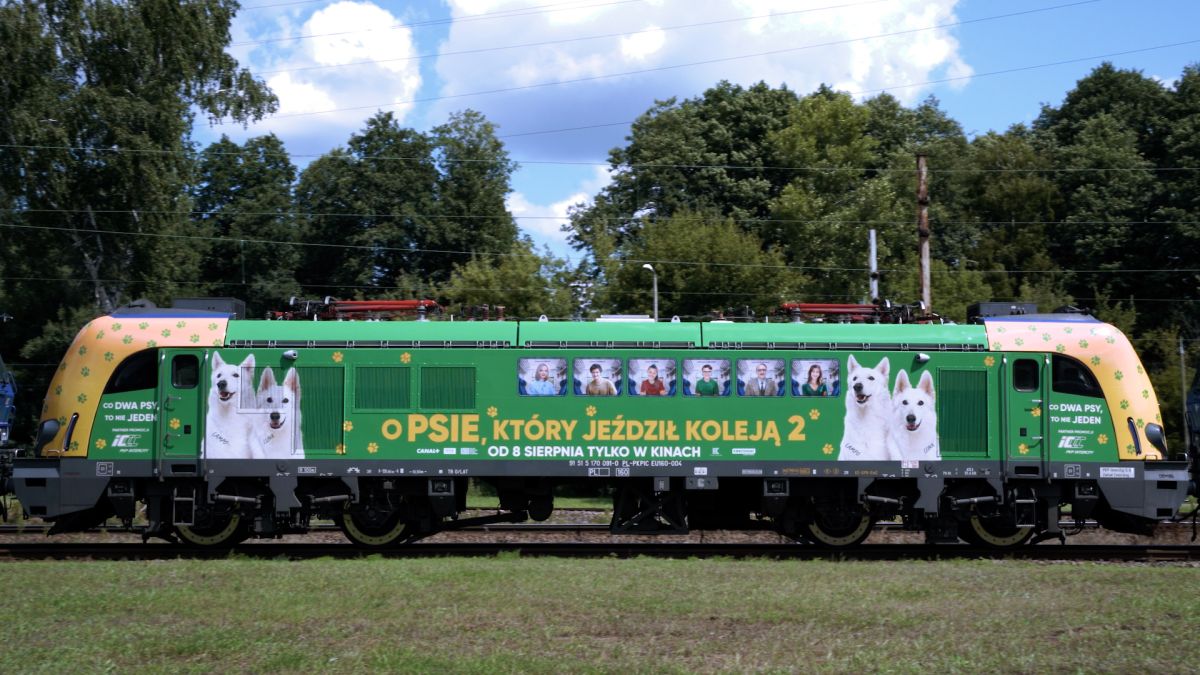 Inforail - Coraz więcej pasażerów PKP Intercity zabiera w podróż zwierzęta