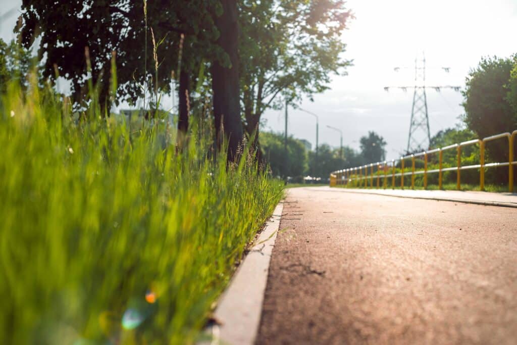 W powiecie radomskim powstanie ponad 6-kilometrowa trasa. Dla rowerzystów / fot. jwvein