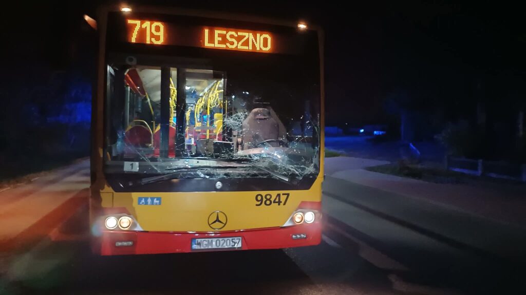 Pod Warszawą miała miejsce kolizja autobusu miejskiego z jeleniem