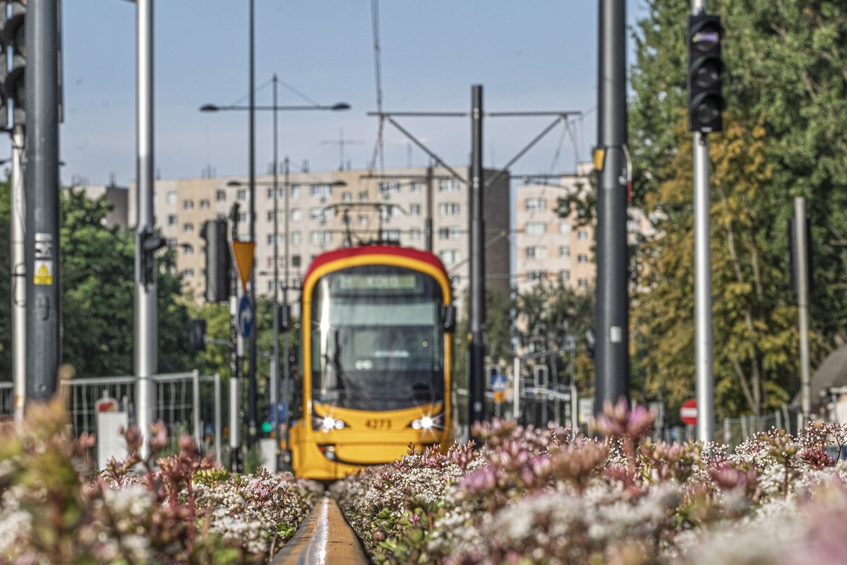 Infotram - Kiedy tramwaj do Dworca Zachodniego? Tramwaje Warszawskie dopiero ogłaszają przetarg