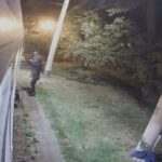 Atak na tramwaj we Wrocławiu