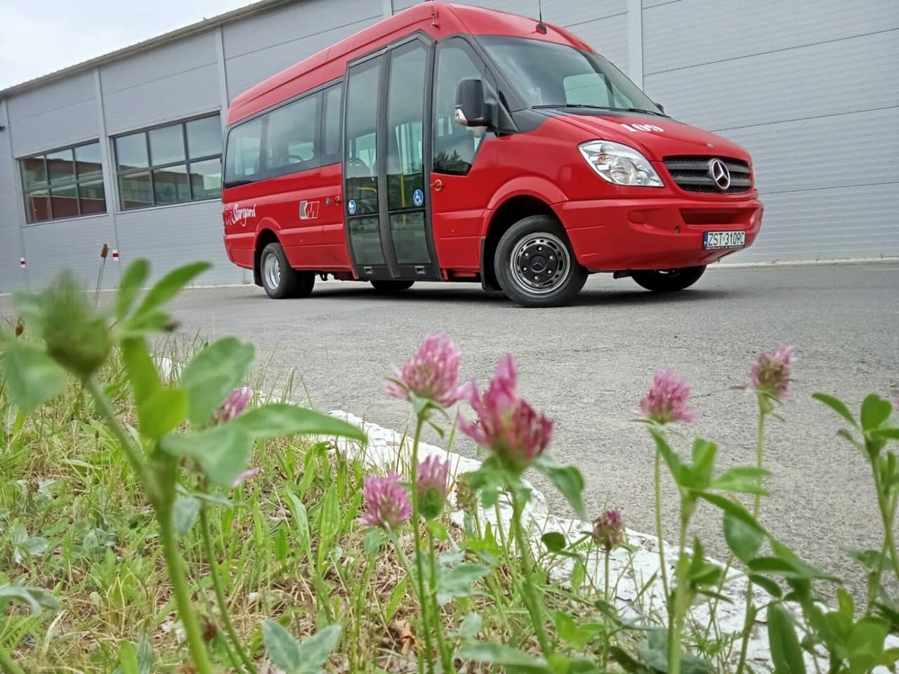 Infobus - Stargard zmienia tryb przetargowy po dwóch podejściach do zakupu MINI elektrobusów