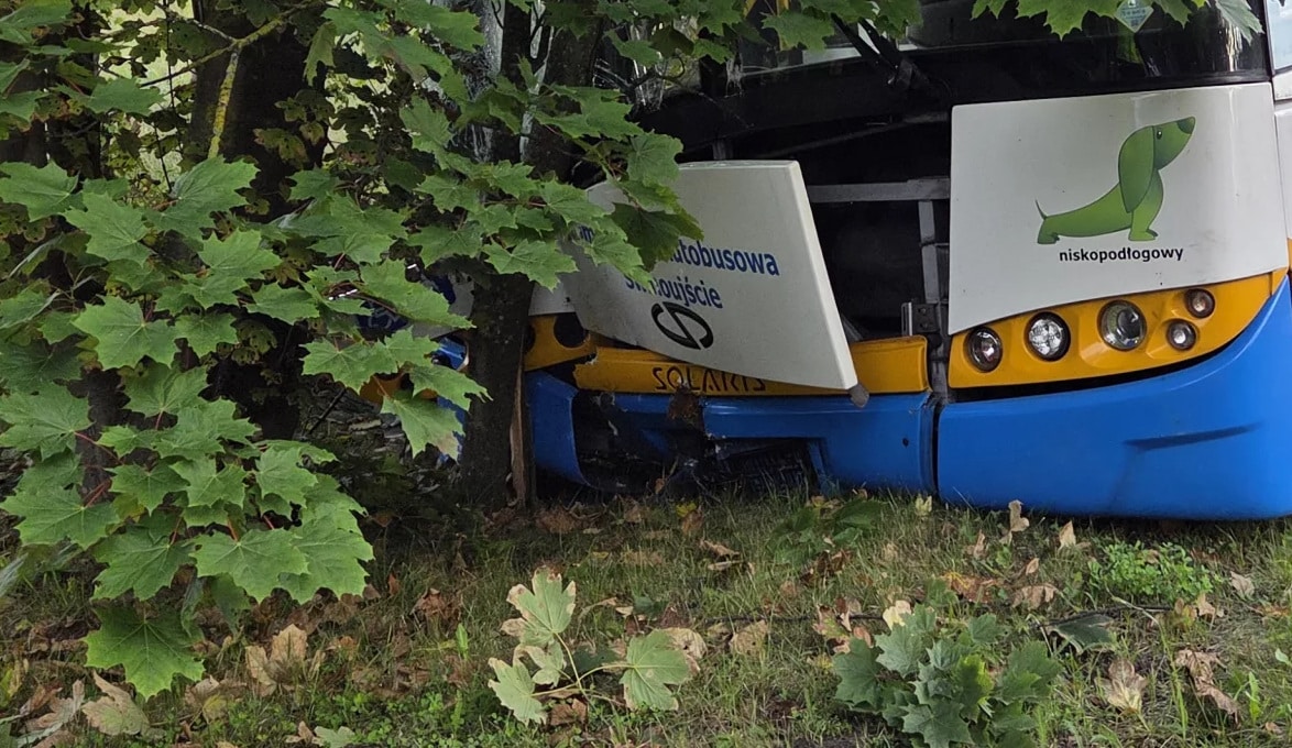 Infobus - Świnoujście: Autobus miejski uderzył w drzewo. KA wydała oświadczenie