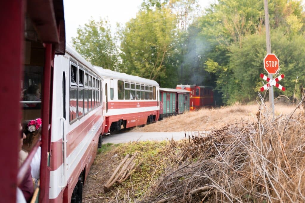 Pożegnanie lata z Nadwiślańską Koleją Wąskotorową foto: Powiat Opolski