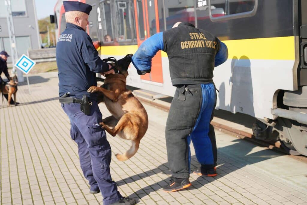 Policyjni przewodnicy psów szkolili się na zapleczu technicznym Łódzkiej Kolei Aglomeracyjnej foto: ŁKA