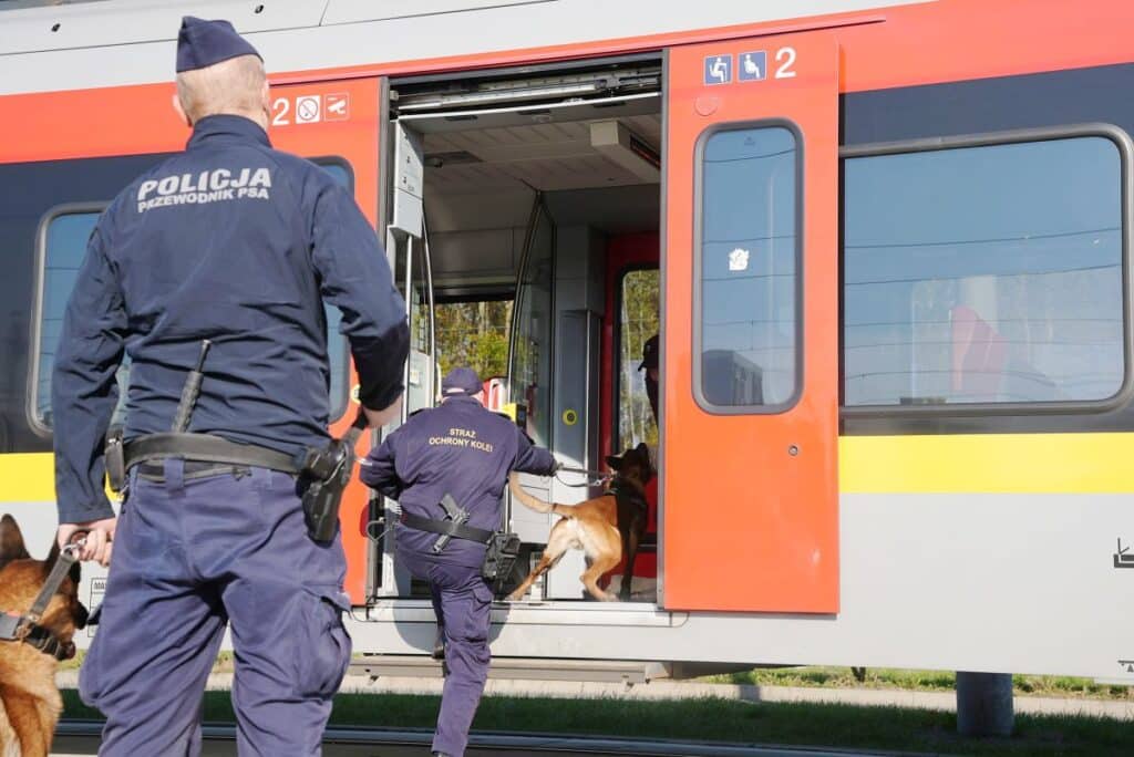 Policyjni przewodnicy psów szkolili się na zapleczu technicznym Łódzkiej Kolei Aglomeracyjnej foto: ŁKA
