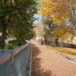 Nowe drogi dla jednośladów powstają w kilku częściach miasta jednocześnie – na al. Politechniki, ul. Tatrzańskiej i ul. Rokicińskiej.