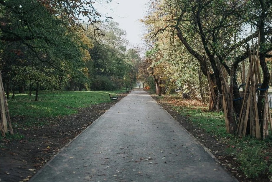 Nowe drogi dla jednośladów powstają w kilku częściach miasta jednocześnie – na al. Politechniki, ul. Tatrzańskiej i ul. Rokicińskiej.