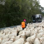 Autobus MLD - fot. Wysowa-Zdrój Nad Wysową