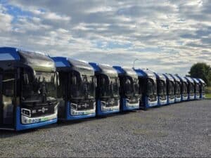 Autobusy NesoBus dla CLA Chełm