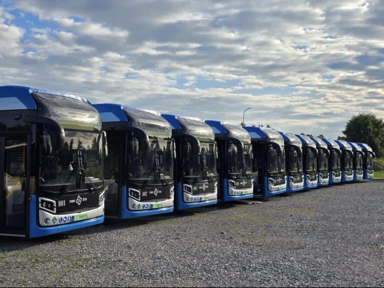 Infobus - Chełm z kompletem NesoBusów. Flota CLA niemal w pełni wodorowa. W odwodzie Solarisy