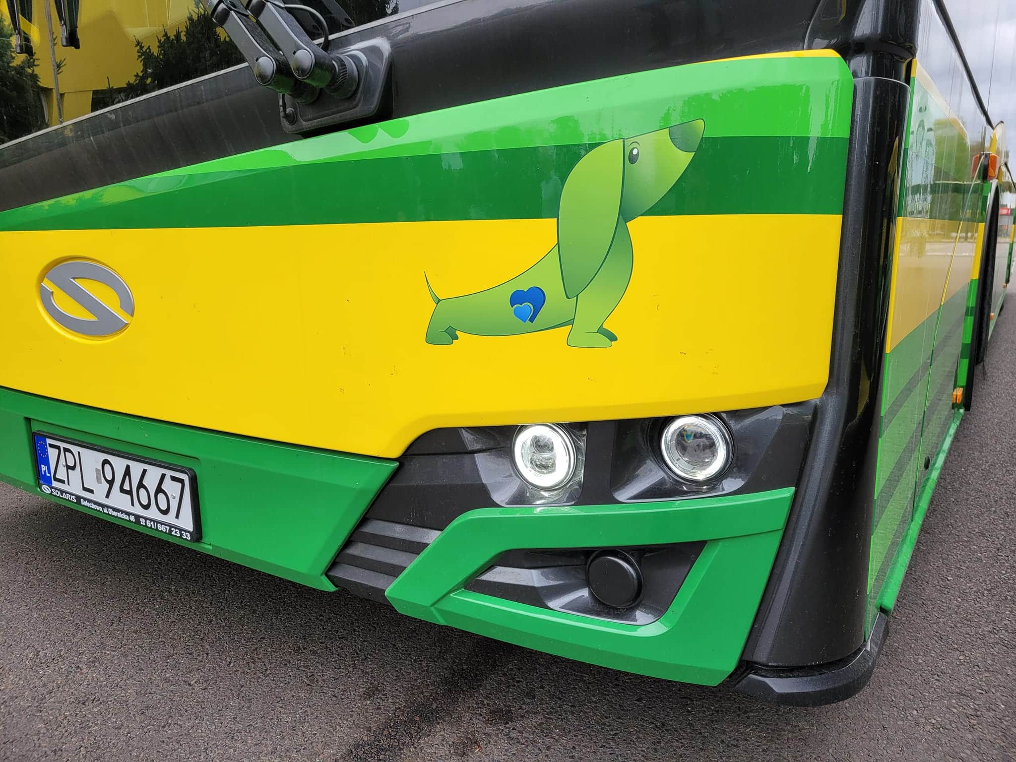 Infobus - SPPK Police kupi przegubowy autobus używany. Dostawa do końca listopada