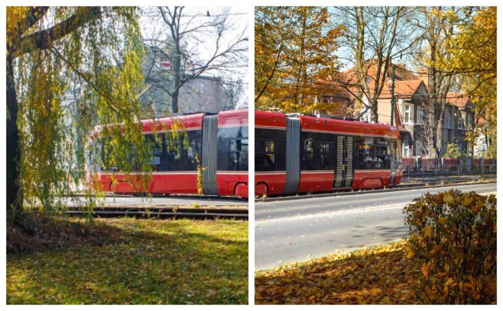 Kibice wybierający się na mecz Polska – Nowa Zelandia na Stadionie Śląskim będą mogli skorzystać z udogodnień w komunikacji miejskiej Transport GZM. Wśród nich są bezpłatne przejazdy, specjalna linia tramwajowa oraz dodatkowe kursy tramwajów i autobusów.