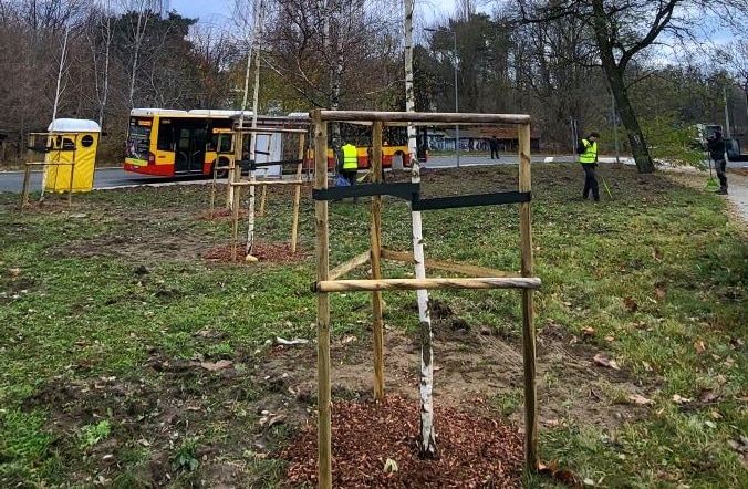 Infotrans - Warszawa na wiosnę będzie miała więcej zieleni na pętlach