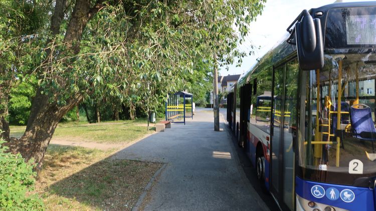 MZK Bydgoszcz uruchamia linię 43 do Gminy Zławieś Wielka. Historyczne połączenie