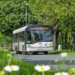 MZK Toruń rozstrzyga przetargi na używane autobusy.