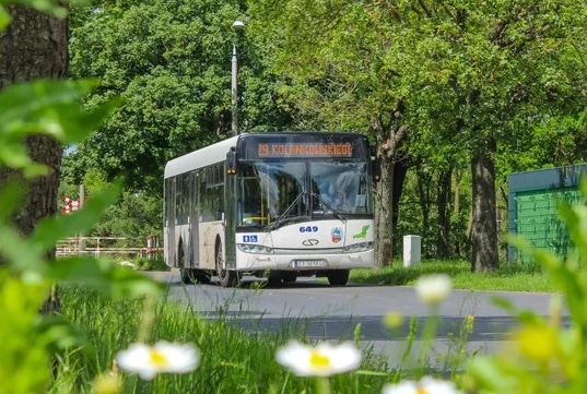 Infobus - MZK Toruń dokłada i rozstrzyga przetarg na zakup 12 autobusów używanych