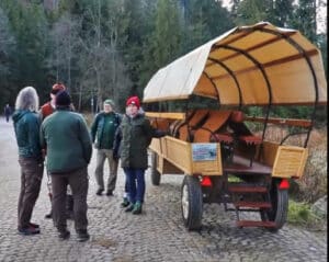 Tatry: testy nowego wozu konnego