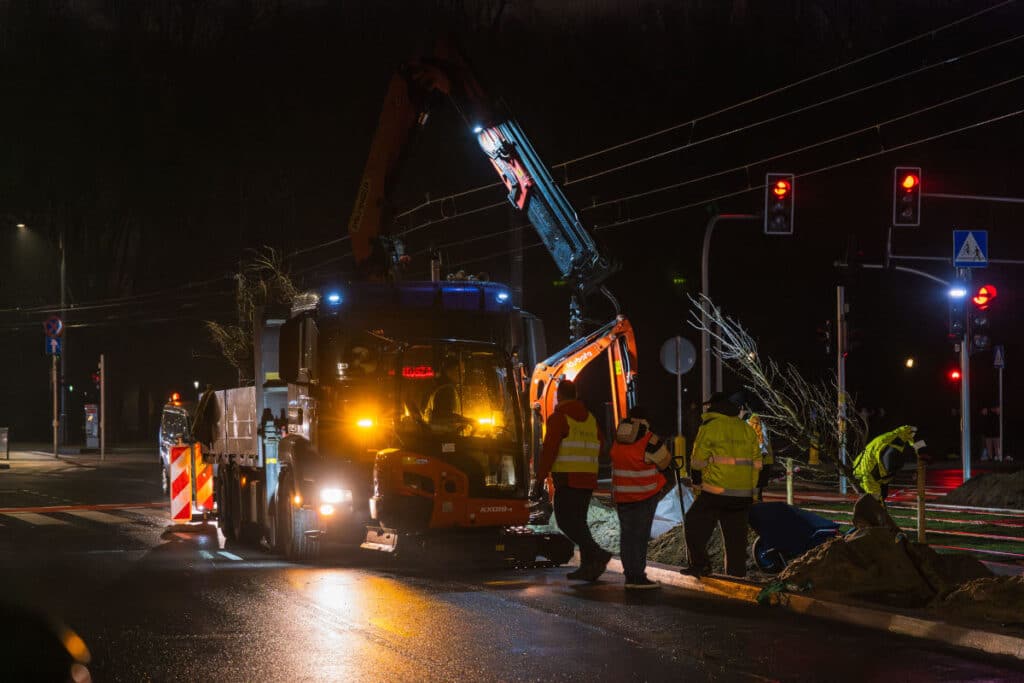 Warszawa sadzi drzewa przy torowiskach