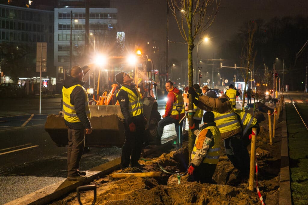 Warszawa sadzi drzewa przy torowiskach