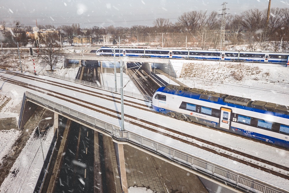 W drodze na świąteczny wypoczynek. Jak podróżować pociągami PKP Intercity ze zwierzętami? foto: PKP IC