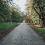 Łódź od kilku lat konsekwentnie inwestuje w infrastrukturę rowerową, tworząc coraz bardziej spójną i wygodną sieć tras.