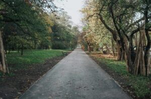 Łódź od kilku lat konsekwentnie inwestuje w infrastrukturę rowerową, tworząc coraz bardziej spójną i wygodną sieć tras.