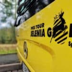 Gmina Strzegom wybiera PKS TOUR. Pięcioletni kontrakt zmieni lokalny transport publiczny