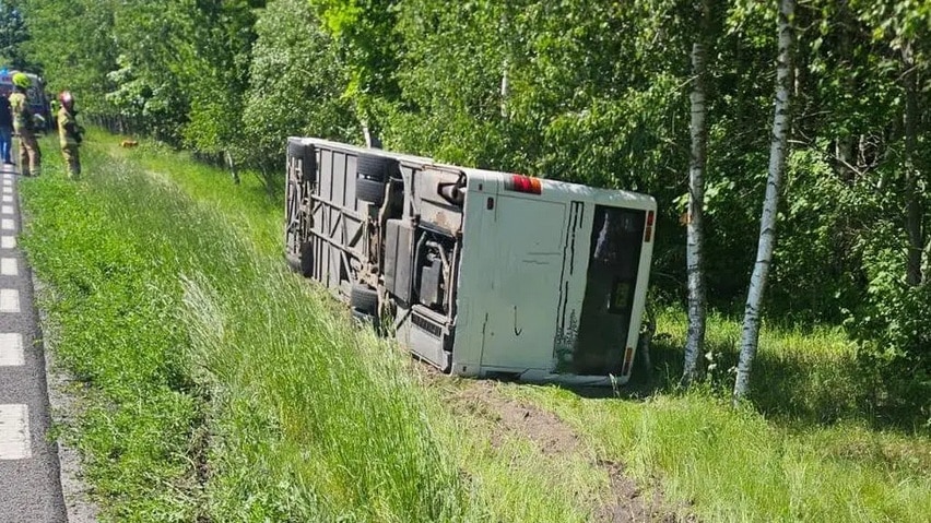 Infobus - Pisz: Akt oskarżenia po wypadku autobusu z wycieczką szkolną. Wszystko przez … lisa