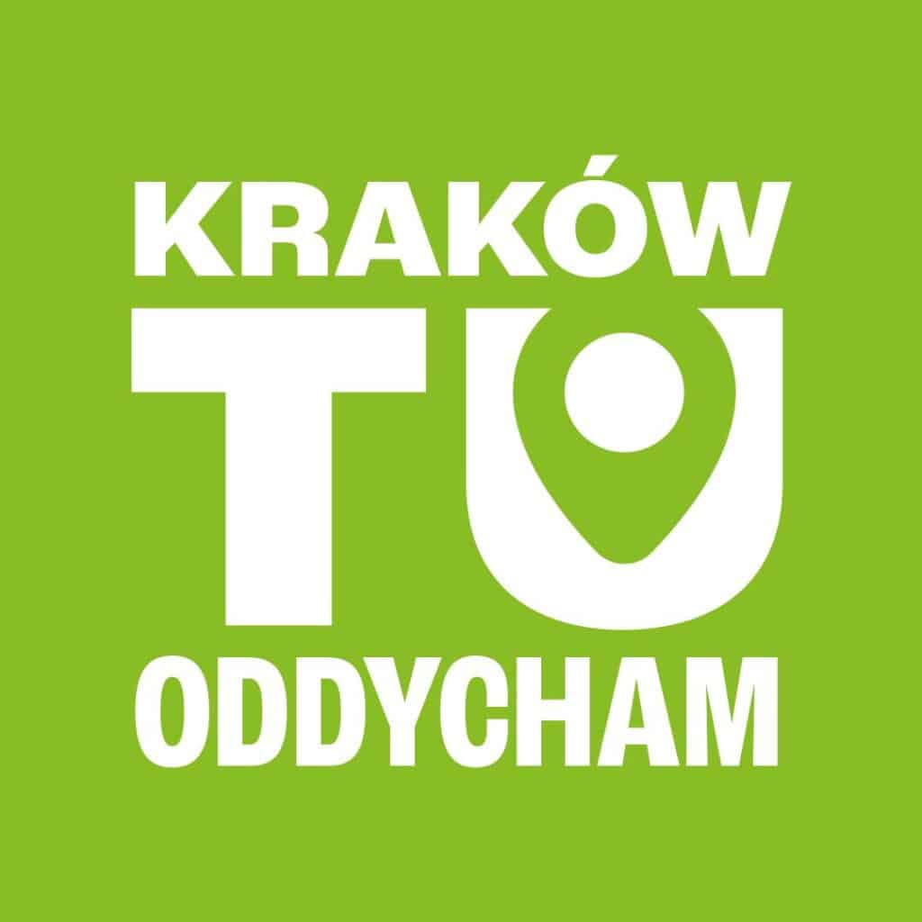 Kraków/ Strefa czystego transportu wejdzie w życie 1 stycznia, system rejestracji pojazdów nie działa
