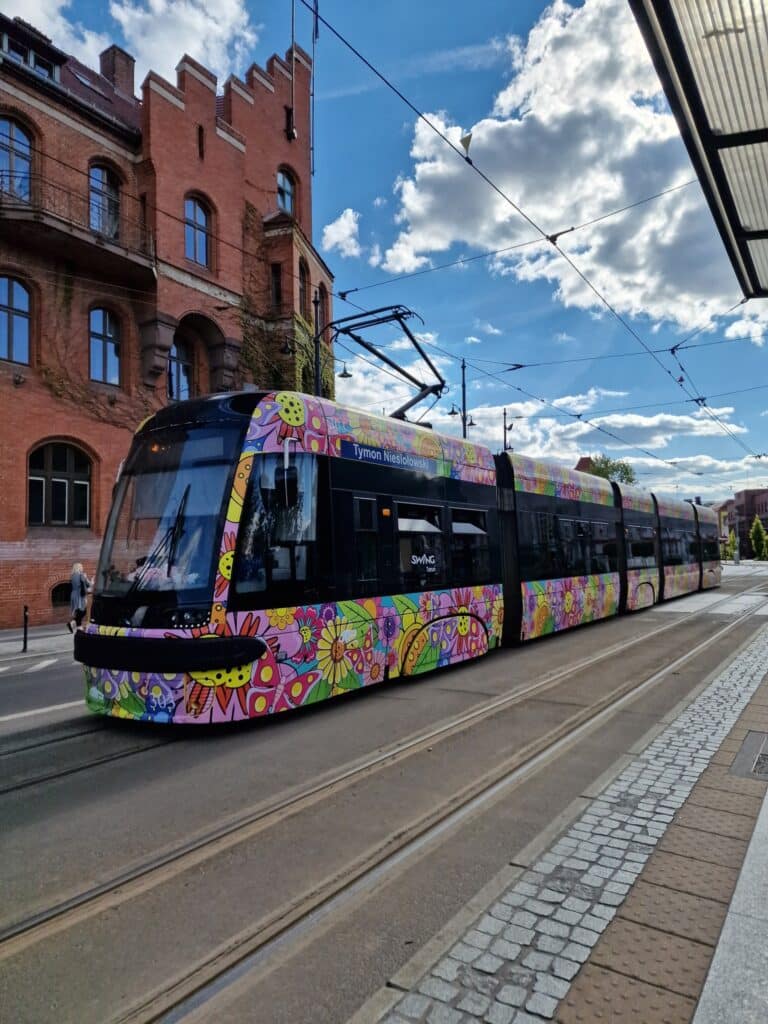 Toruń stawia na Big Data. Citya wesprze projektowanie nowej sieci transportowej Metropolii / fot. UM Toruń