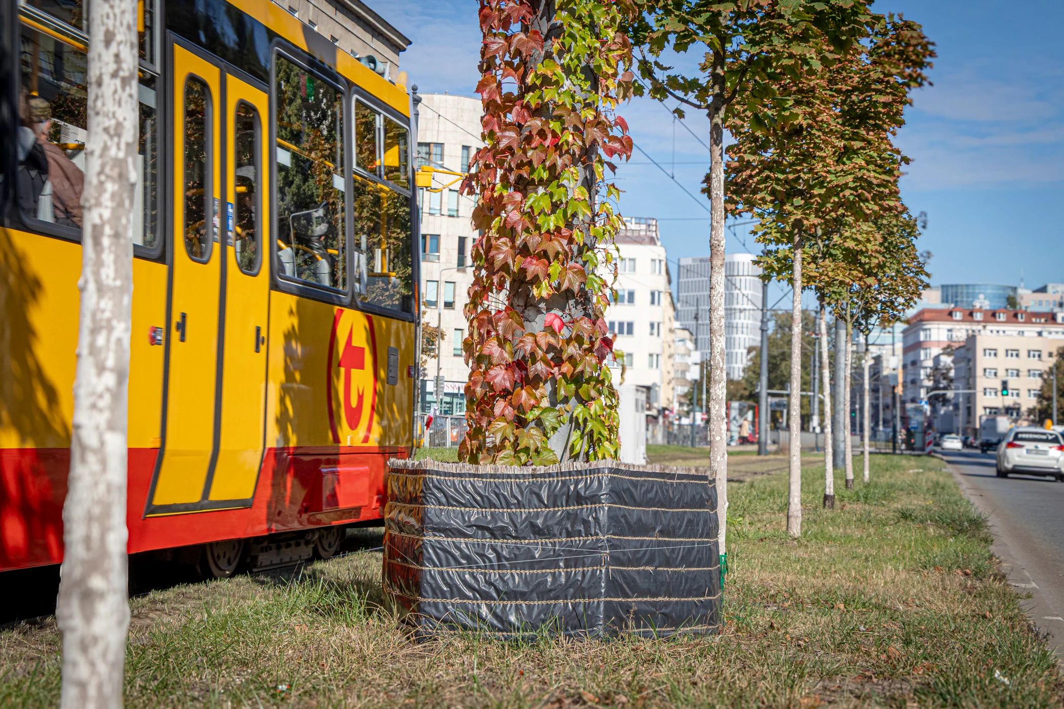 Infotram - Warszawa wspiera eko infrastrukturę tramwajową. Powstaną „zielone słupy trakcyjne”