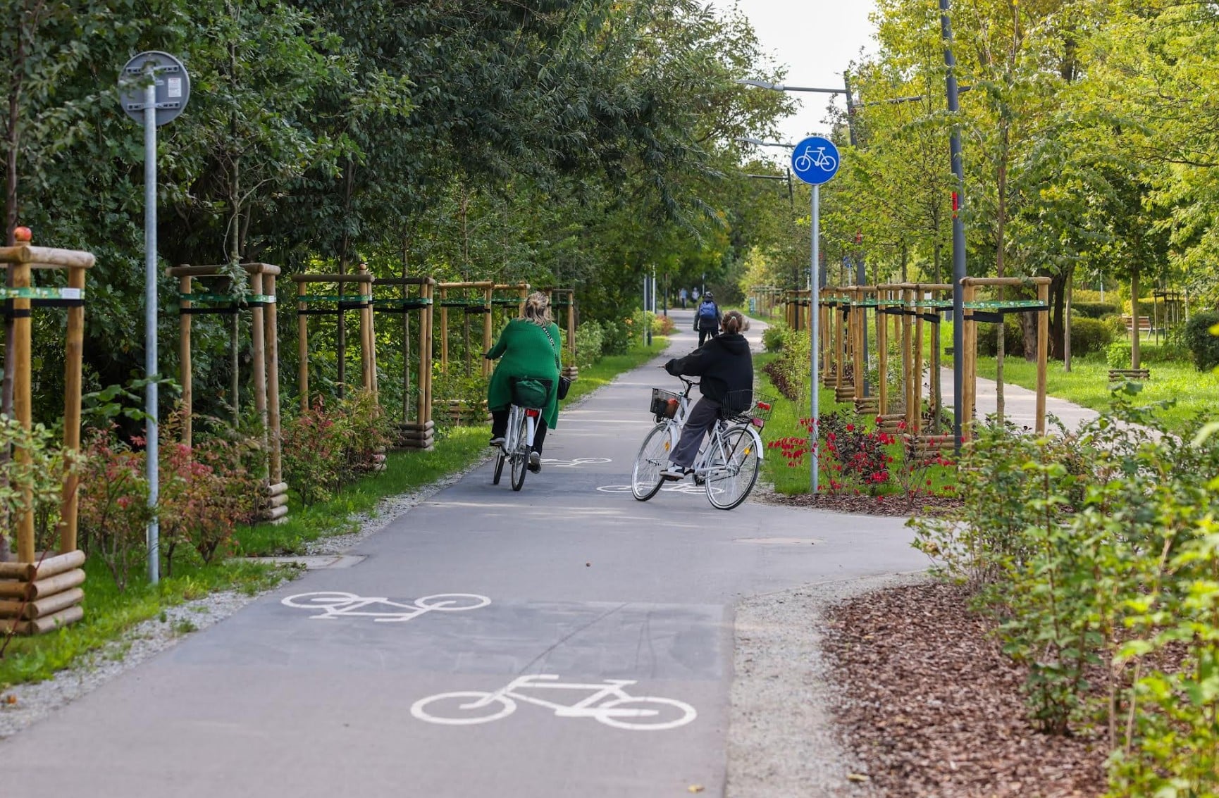 Infobike - Rowerowy Wrocław 2025: kiedy i którędy jeździliśmy najczęściej?