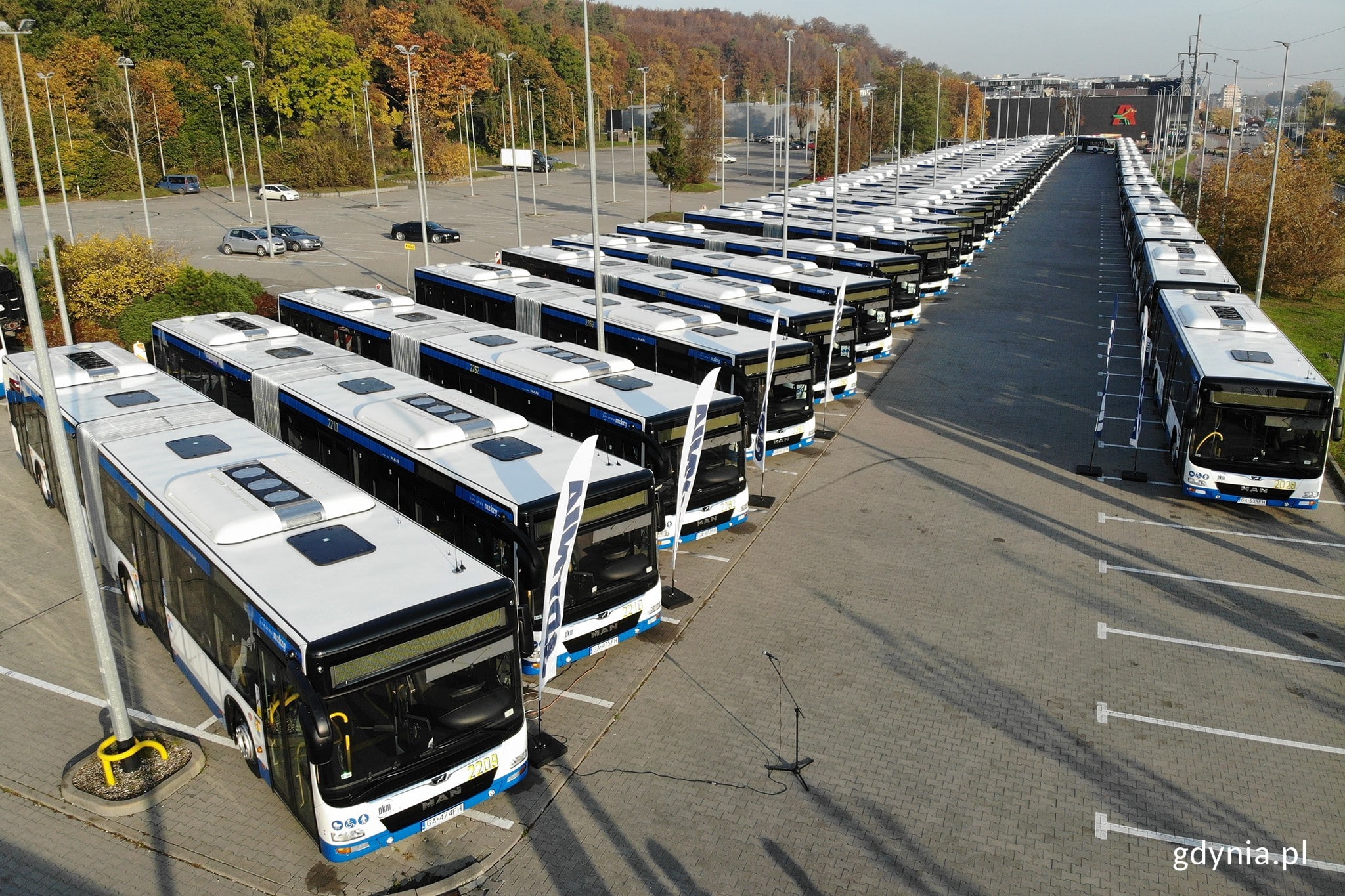 Infobus - 18 autobusów spalinowych dla PKM Gdynia: Kto ma przewagę techniczną? Analiza SWZ