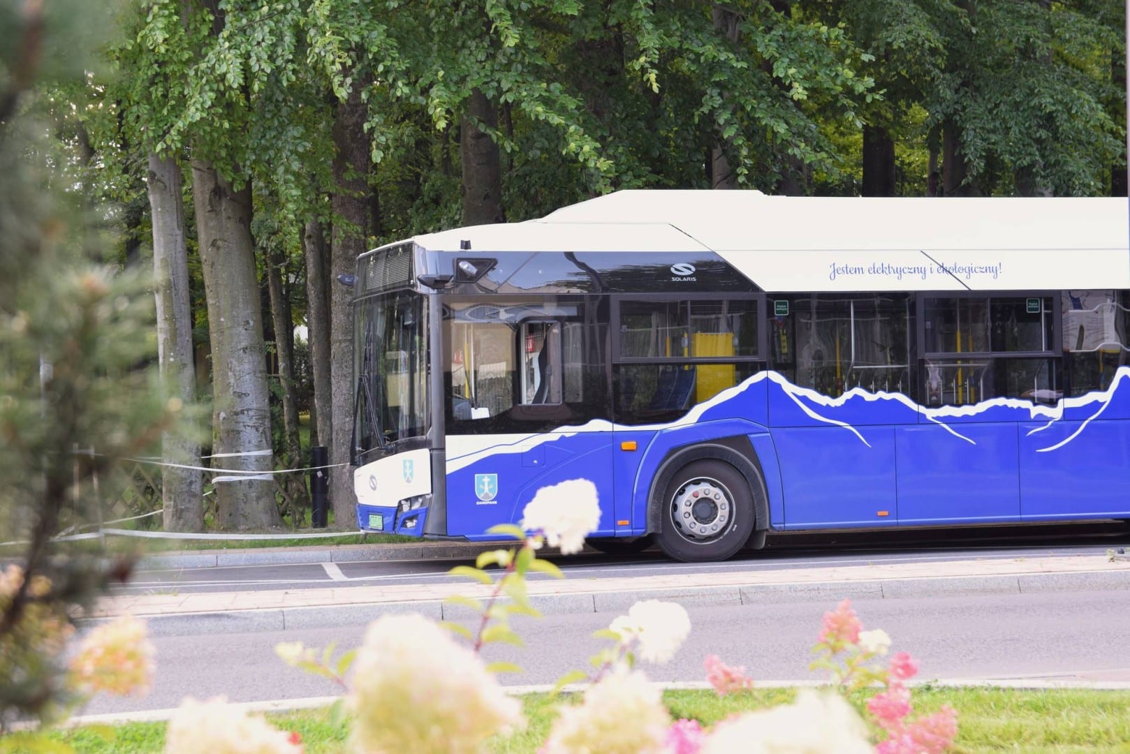 Infobus - Przetarg liniowy bez kryterium ceny za wzkm? Analiza SWZ zamówienia od Powiatu Tatrzańskiego