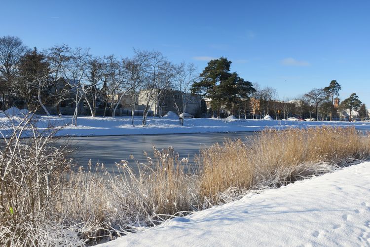 Infobike - Ścieżki piesze i rowerowe wzdłuż Kanału Bydgoskiego. Kolejny etap rewitalizacji nabrzeży