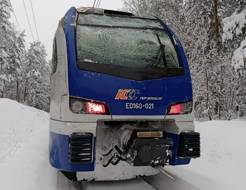 Inforail - Linia kolejowa nr 216 ponownie nieprzejezdna. Pociąg uderzył w drzewo