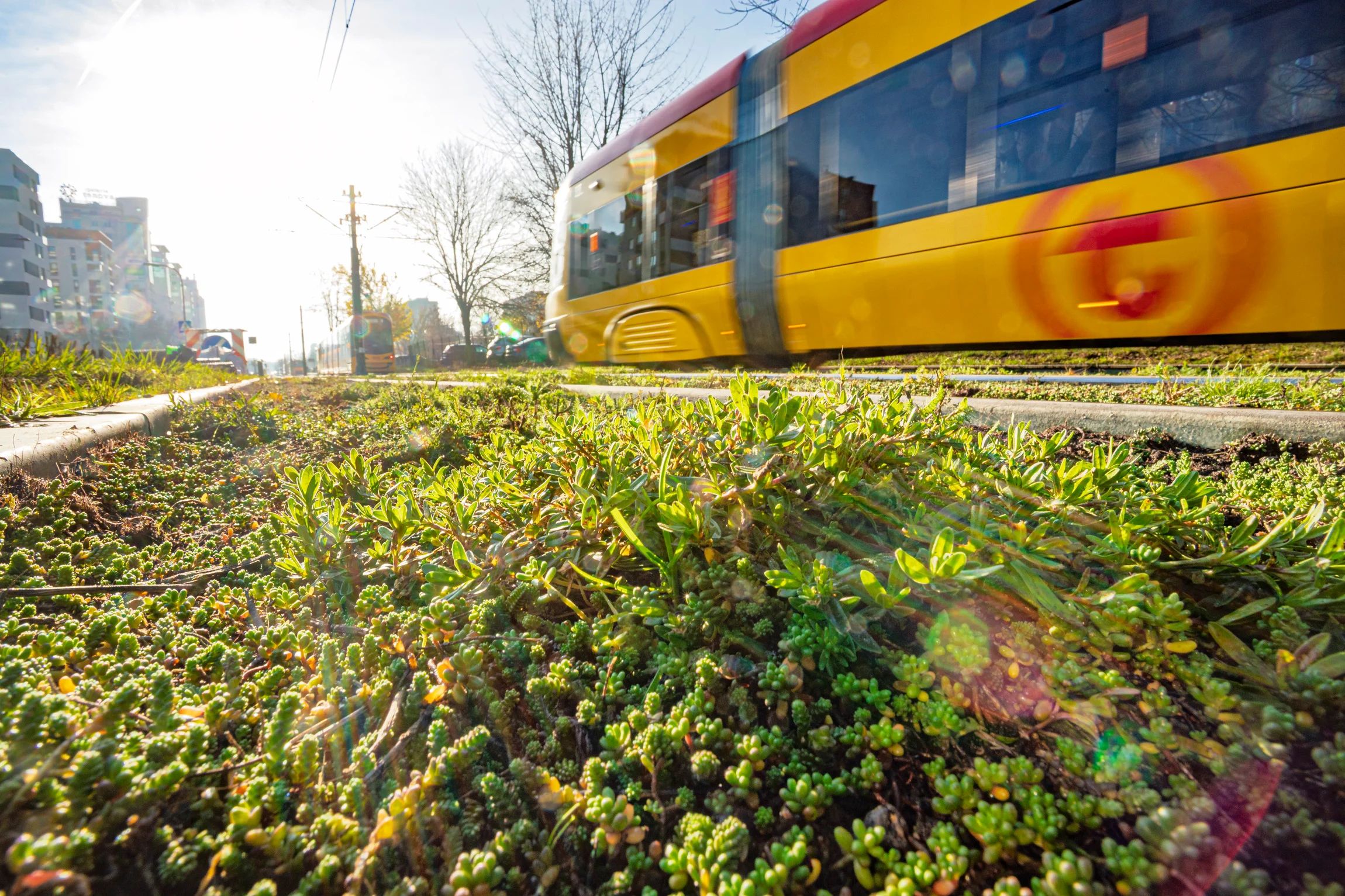 Infotram - Tramwaje Warszawskie szykują dużą inwestycję na 2027 rok. Kompleksowy remont torowiska na ul. Grochowskiej