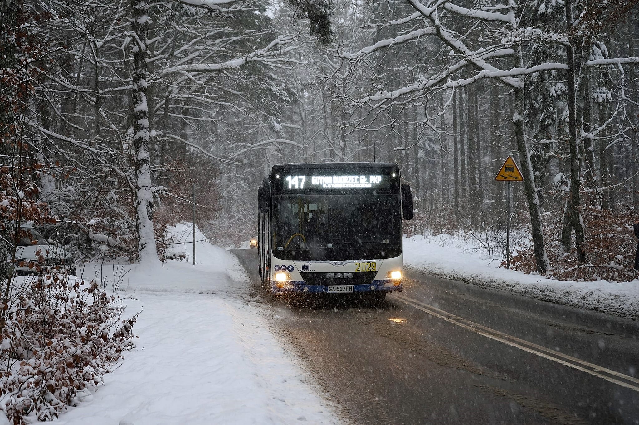 Infotrans - Trójmiejski transport publiczny na Ferie 2026: Zmiany w Gdyni, Gdańsku i Wejherowie