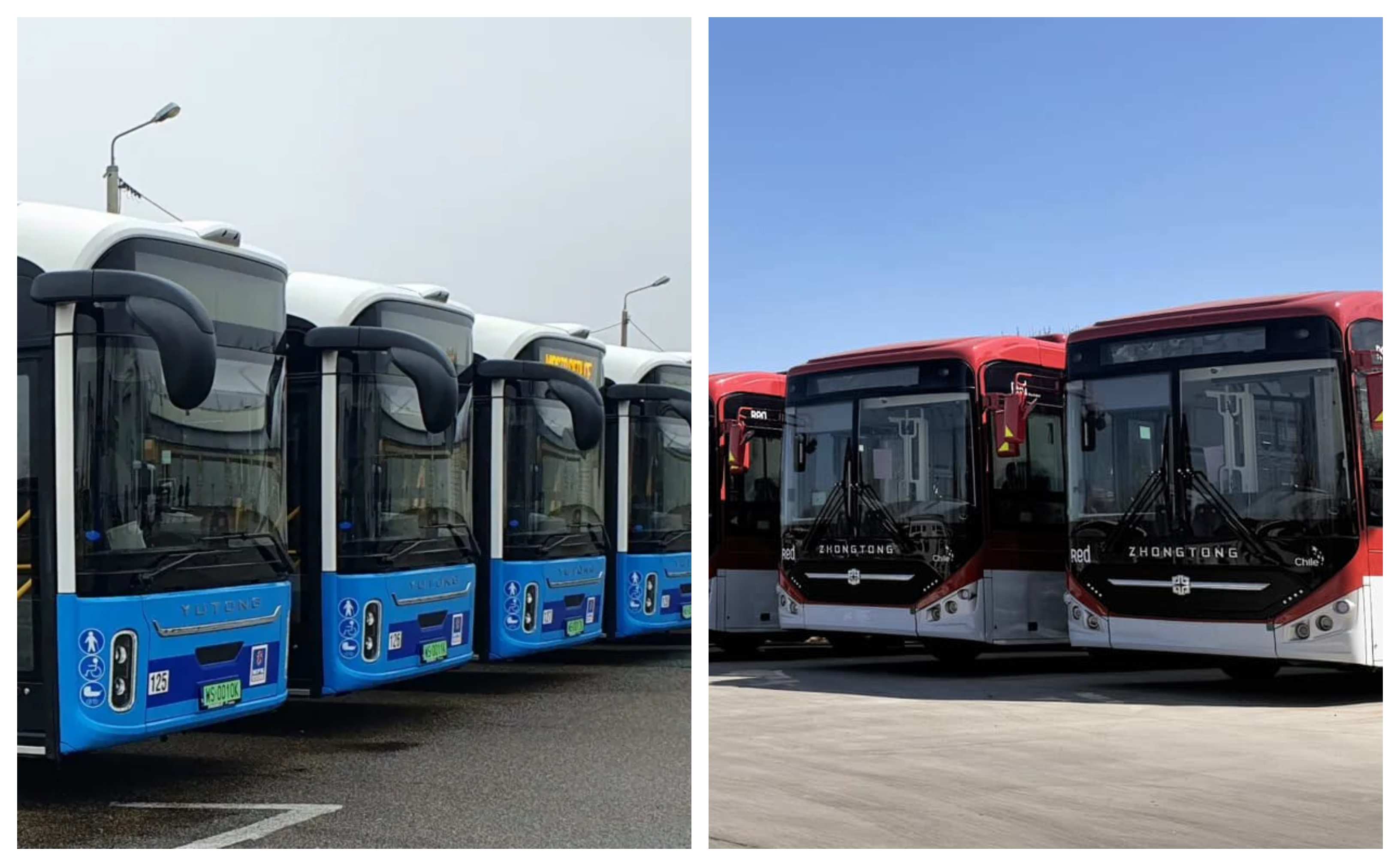 Infobus - Elektrobusy dla MPK Siedlce i pierwszy taki pojedynek w Polsce: Zgongtong kontra Yutong