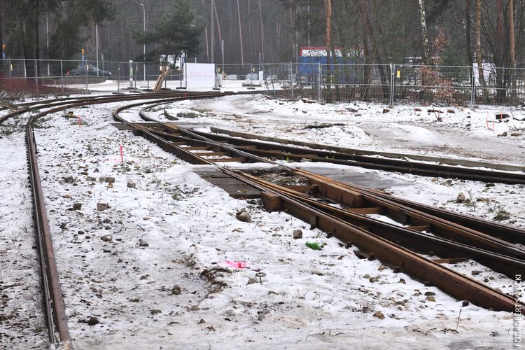 Infotram - Bydgoszcz: ruszyły pierwsze prace przy zielonej pętli Las Gdański. Trwa modernizacja infrastruktury tramwajowej