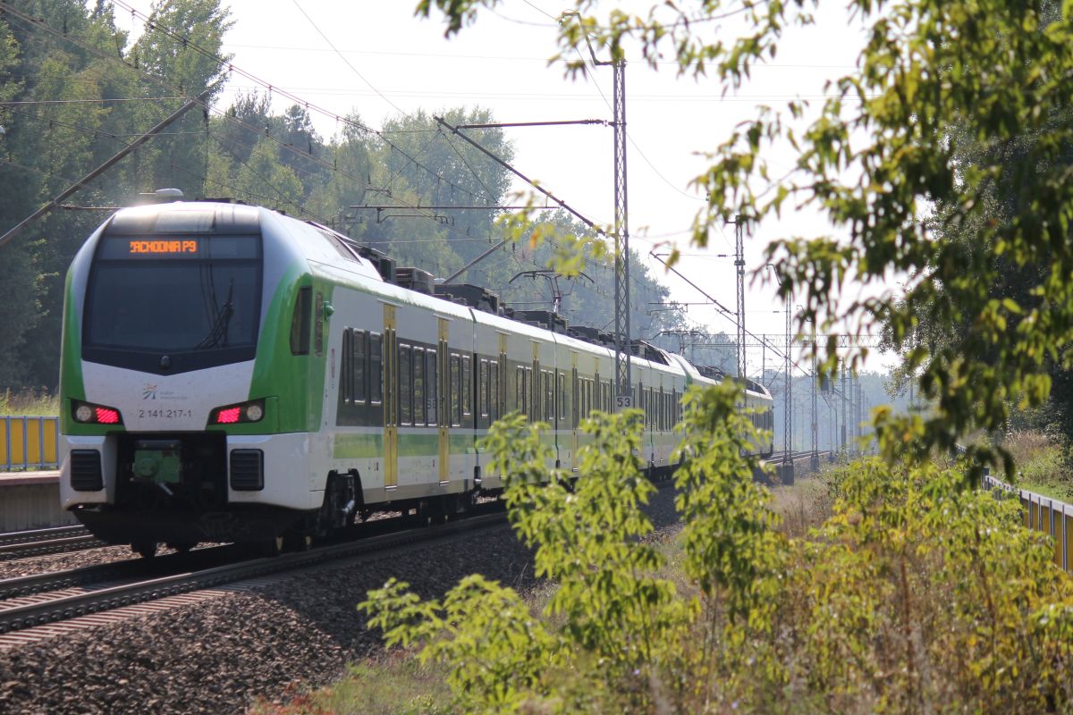 Inforail - Odkryj piękno Mazowsza z Kolejami Mazowieckimi. Rusza akcja „Koleją do natury”