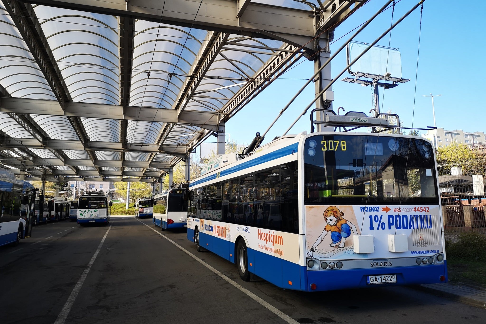 Infobus - Gdynia połączy autobusowe i trolejbusowe spółki w jedną firmą. Znamy harmonogram