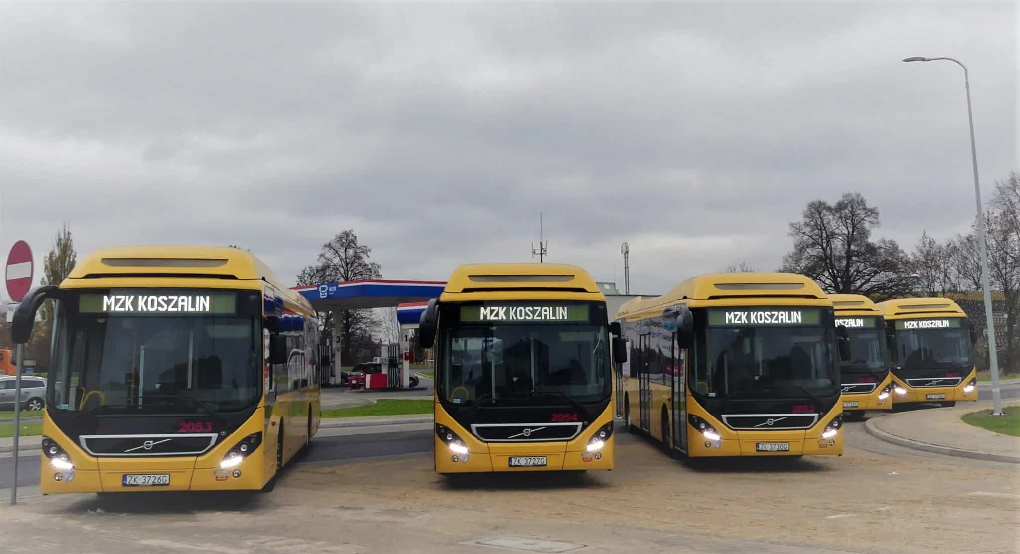 Infobus - Powiat Koszaliński rusza z transportem publicznym. Od przetargu na operatora