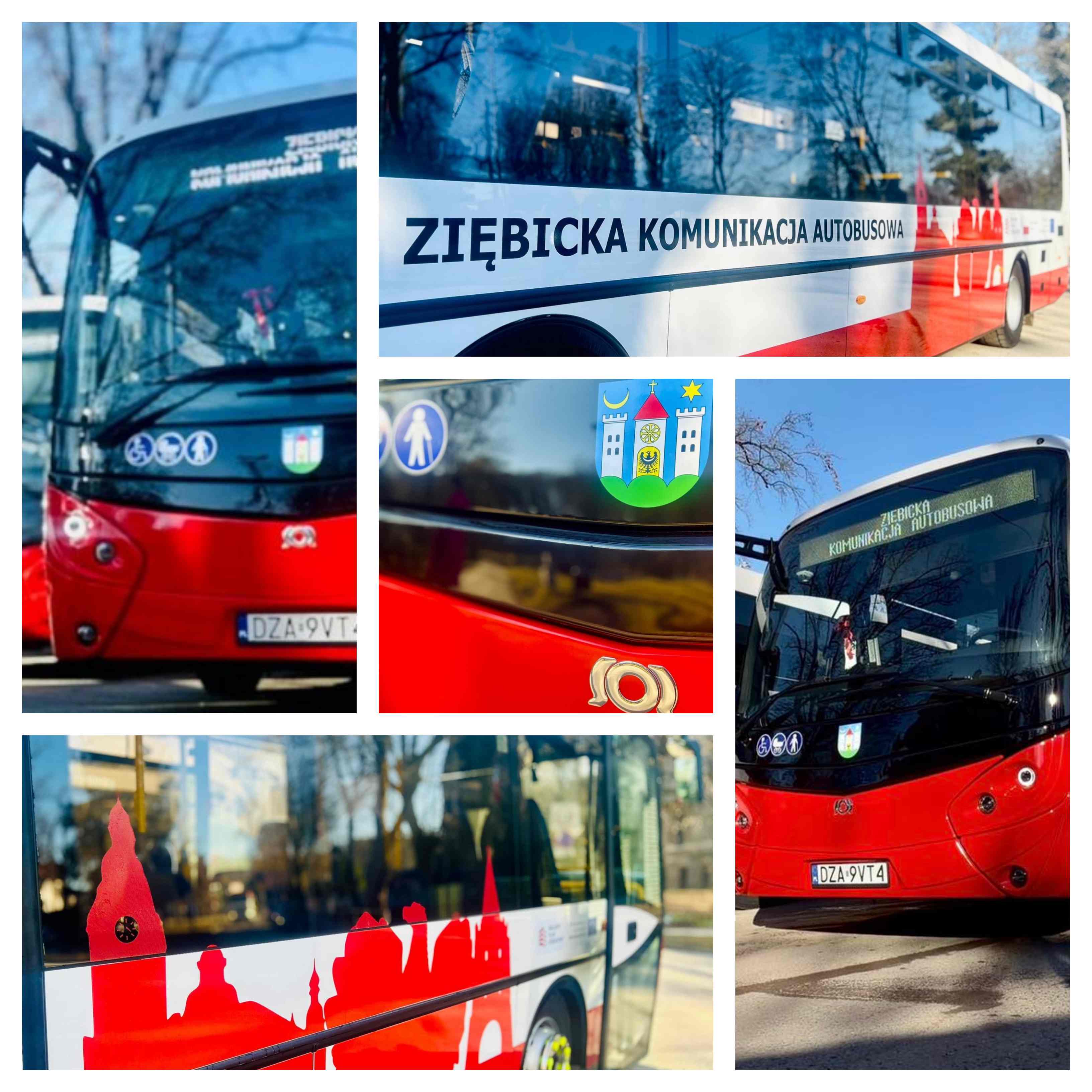 Infobus - Nowe autobusy SOR dla Ziębickiej Komunikacji Autobusowej. Za ponad 4,2 mln zł