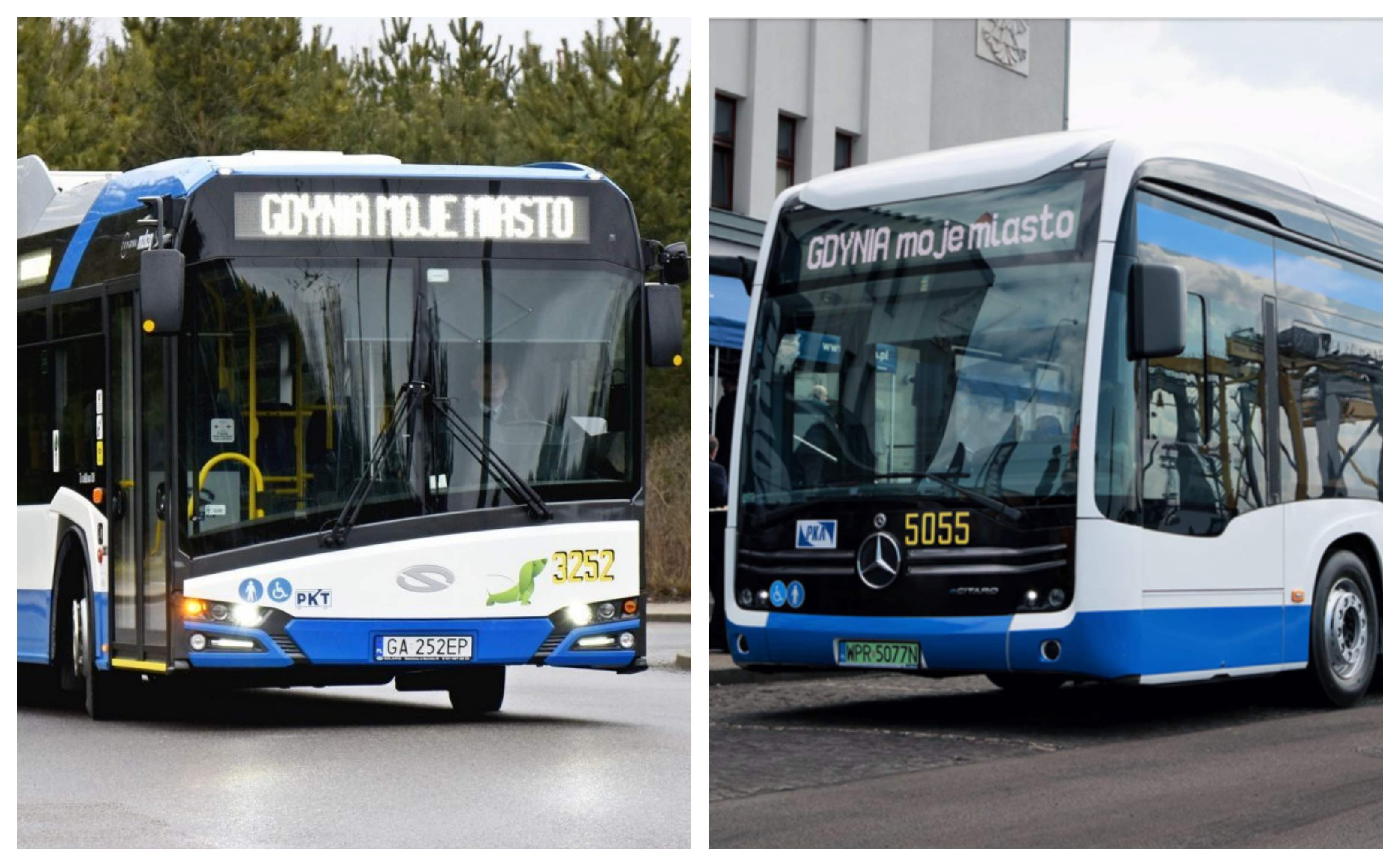 Infobus - Prezes gdyńskich trolejbusów odwołany przed konsolidacją spółek. Górą autobusy i PKA