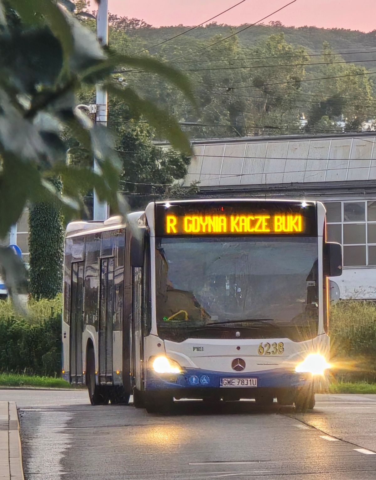 Infobus - Gdyńska „eRka” z nowymi autobusami i przewoźnikami. Analiza SWZ