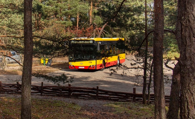 Infobus - Warszawa i Kraków stawiają na autobusową rekreację. Weekendowe trasy do Palmir i Ojcowa