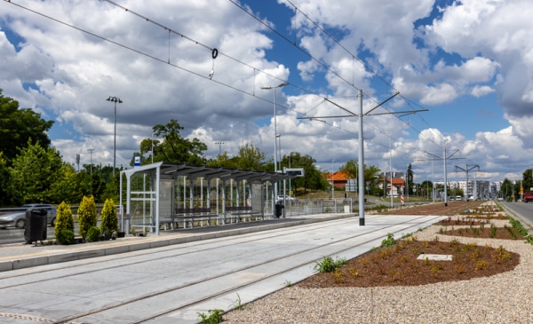 Infotrans - Trzecie podejście do zielonych przystanków w Toruniu. MZK ponawia przetarg