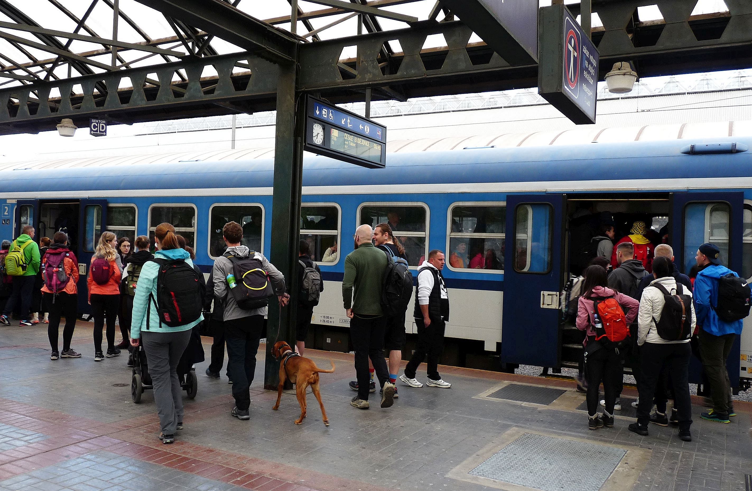 Inforail - Czeskie koleje wzmacniają połączenia na 59. Pochód Praga – Prčice. Specjalne pociągi, dodatkowe wagony i wyjątkowy bilet